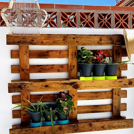 Casa Da Galinhola Casa de Férias *