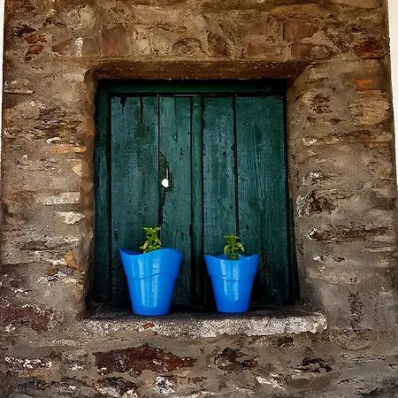 Casa Da Galinhola Ortiga