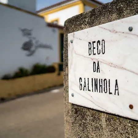 Casa Da Galinhola Holiday home Ortiga